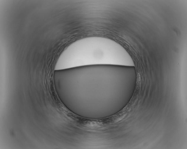 X0000112880223200908211058