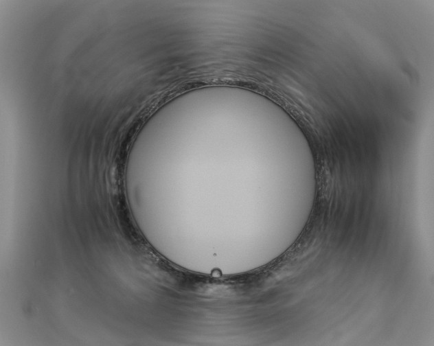 X0000112880224200908211058