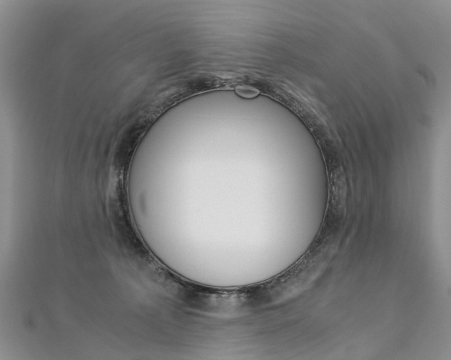 X0000112880225200908211058