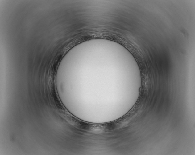 X0000112880226200908211058