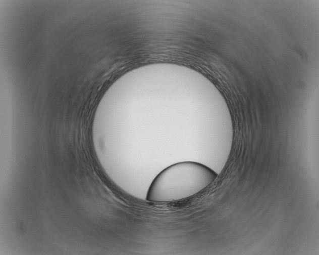 X0000112880231200908211058