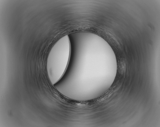 X0000112880232200908211058