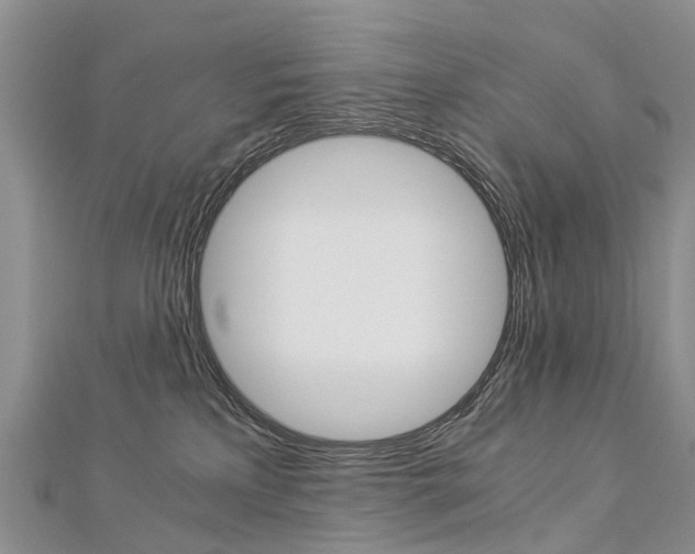 X0000112880233200908211058