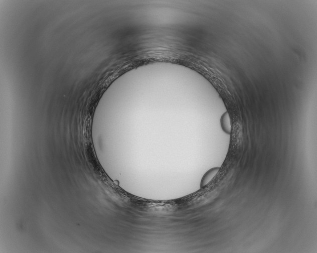 X0000112880234200908211058