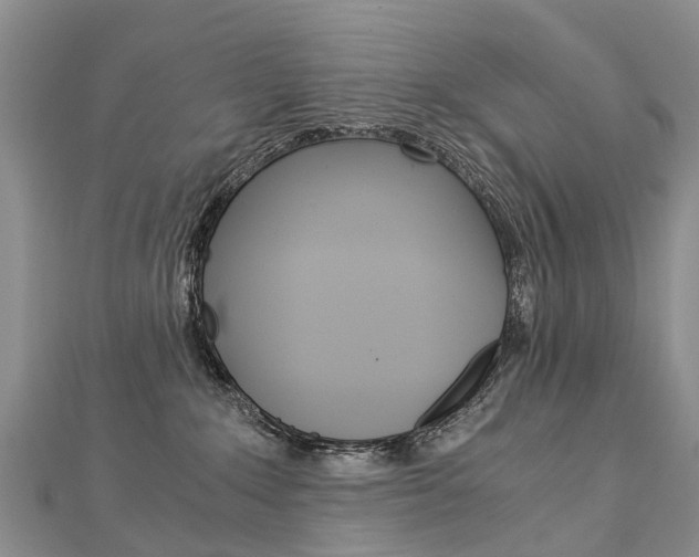 X0000112880235200908211058