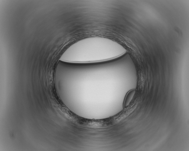 X0000112880236200908211058