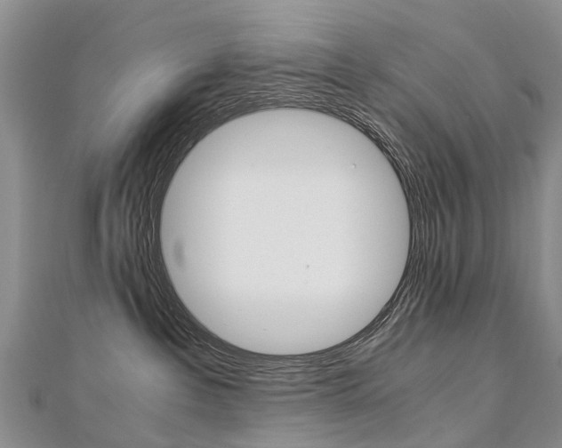 X0000112880237200908211058