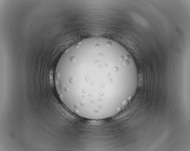 X0000112880238200908211058