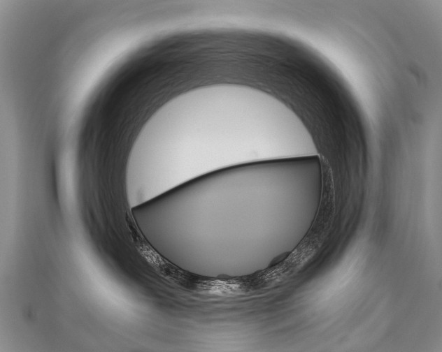 X0000112880239200908211058