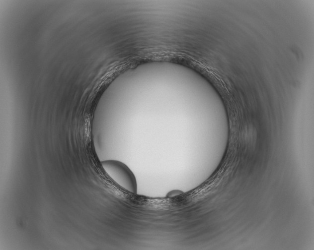 X0000112880240200908211058