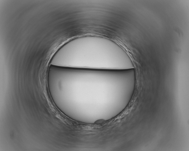 X0000112880241200908211057