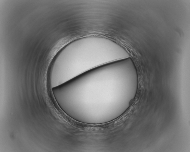 X0000112880242200908211057