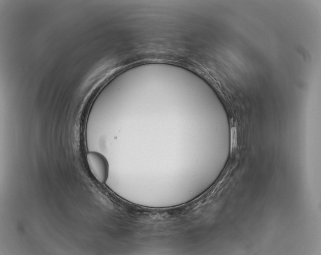 X0000112880243200908211057