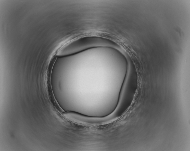 X0000112880244200908211058