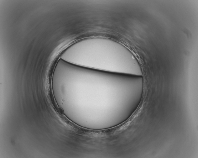 X0000112880245200908211058