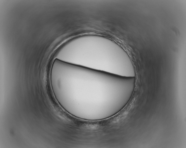 X0000112880247200908211058