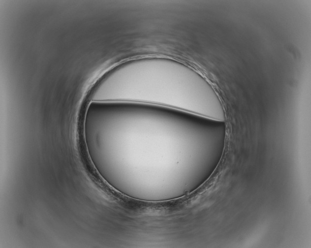 X0000112880248200908211058