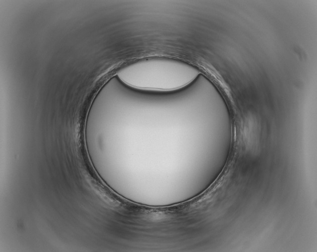 X0000112880249200908211058