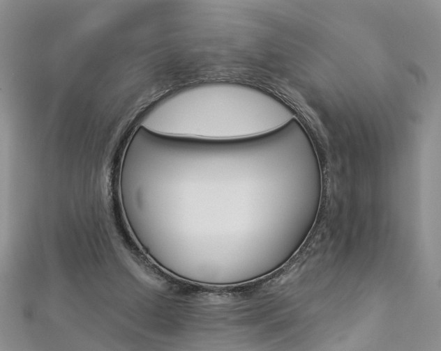 X0000112880250200908211058