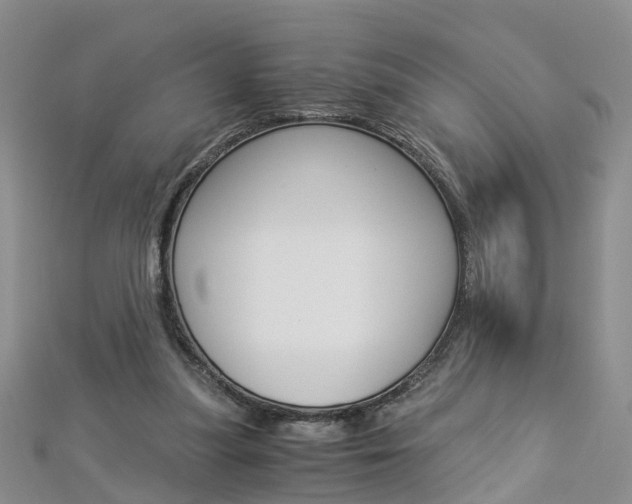 X0000112880251200908211058