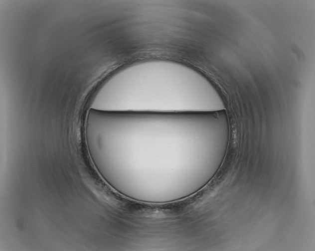 X0000112880254200908211058