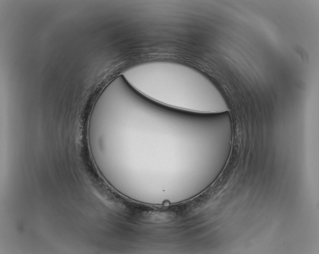 X0000112880255200908211058