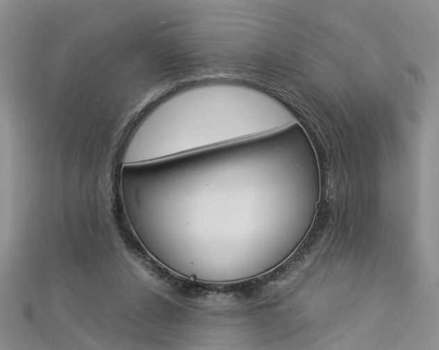 X0000112880256200908211058