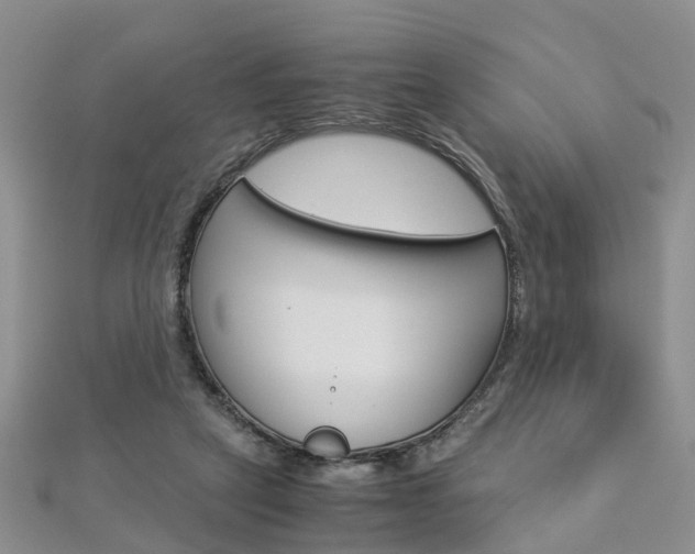 X0000112880257200908211058