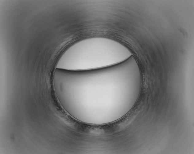 X0000112880258200908211058