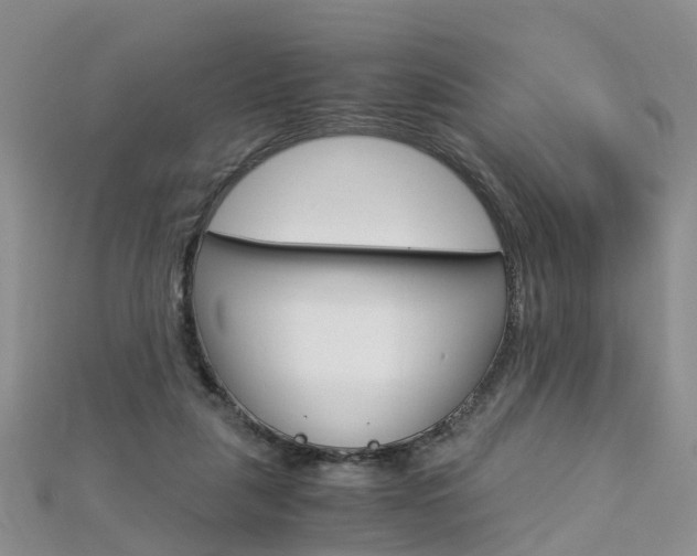 X0000112880259200908211058