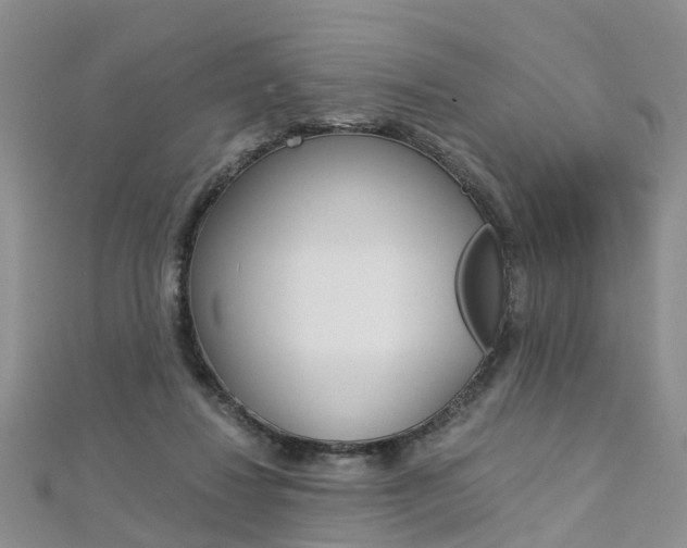 X0000112880260200908211058