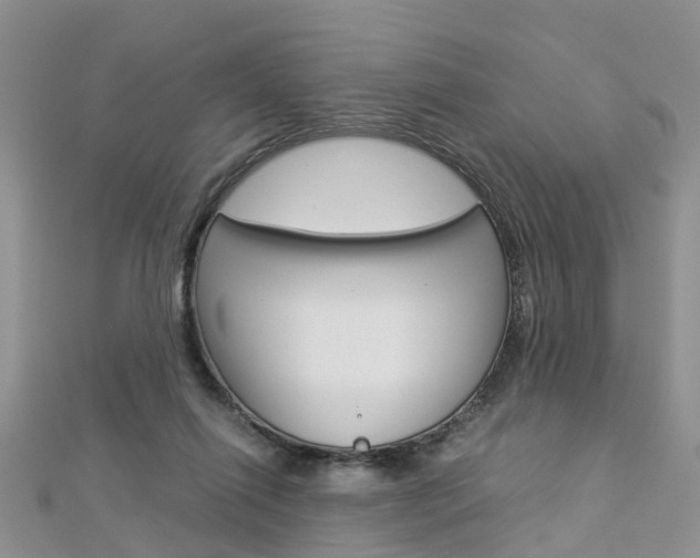 X0000112880262200908211058