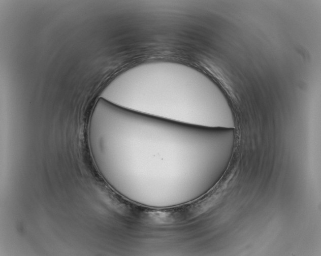 X0000112880265200908211058