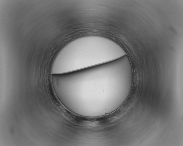 X0000112880266200908211058