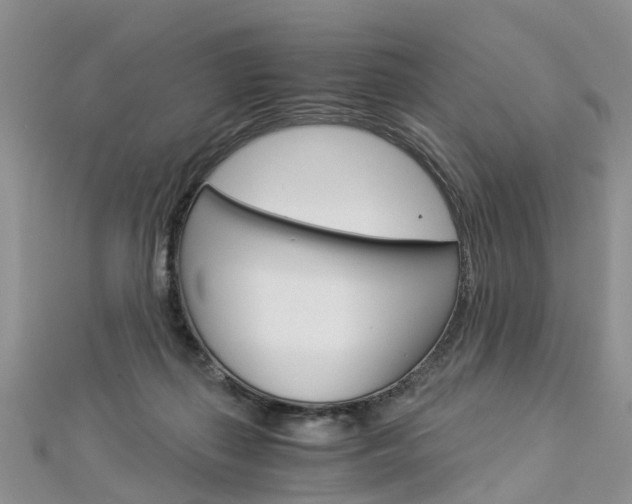 X0000112880267200908211058