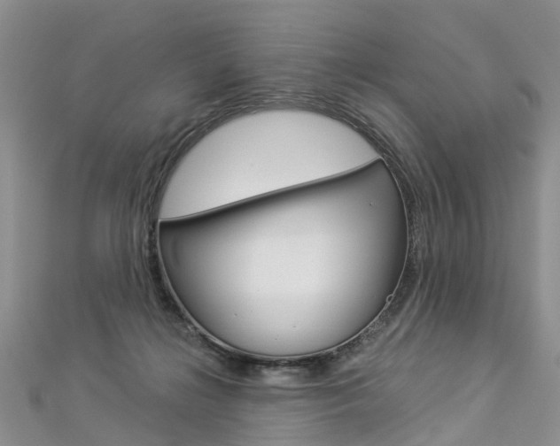 X0000112880268200908211058