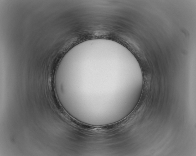 X0000112880269200908211058