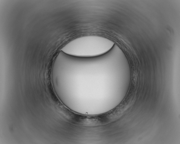 X0000112880270200908211058