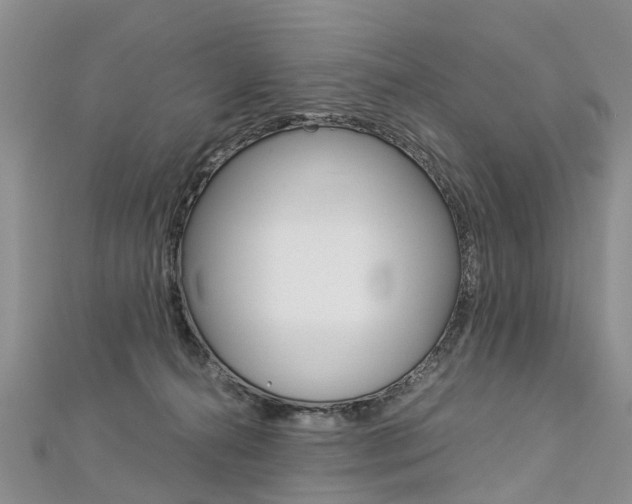 X0000112880272200908211058