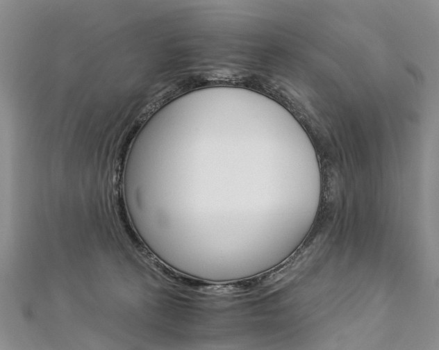 X0000112880273200908211058