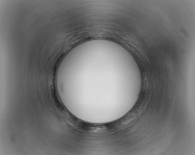 X0000112880274200908211058