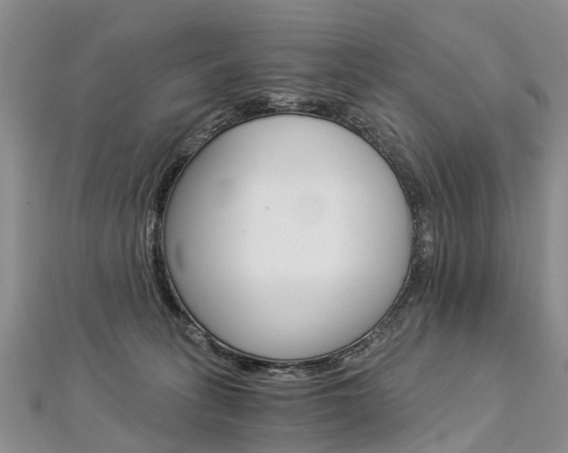 X0000112880275200908211058