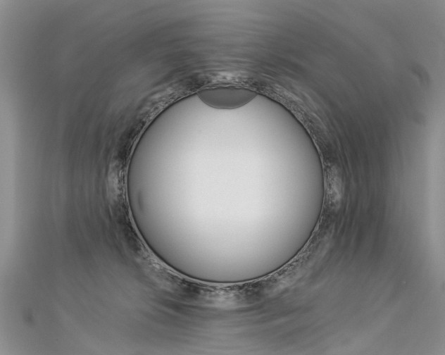 X0000112880276200908211058