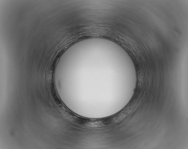 X0000112880278200908211058