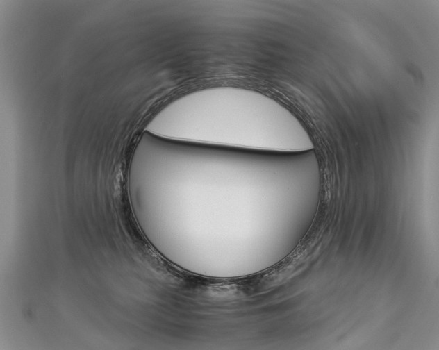 X0000112880279200908211058