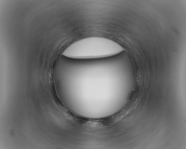 X0000112880280200908211058