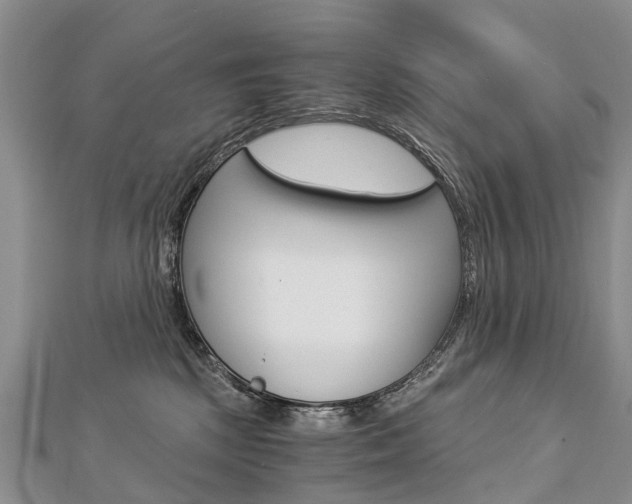 X0000112880281200908211058