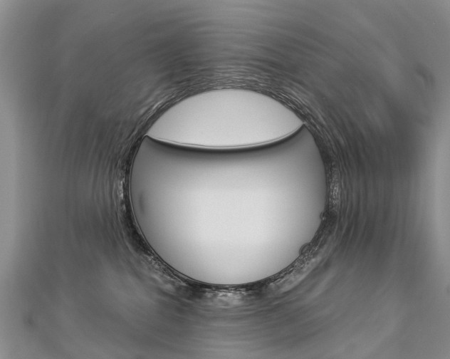 X0000112880282200908211058