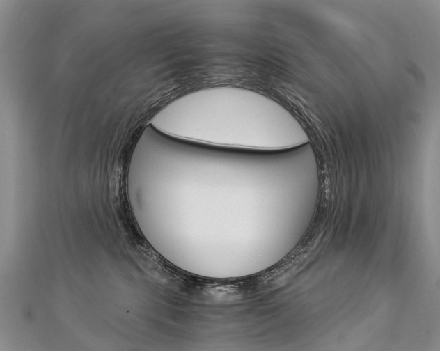 X0000112880283200908211058