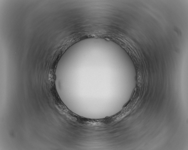 X0000112880284200908211058